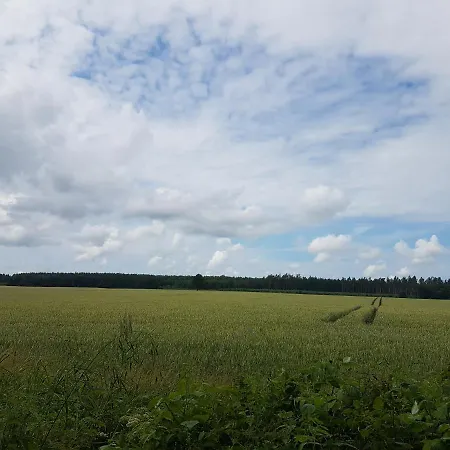 Przytulne Mieszkanie W 150- Letnim Palacu *