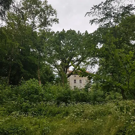 Przytulne Mieszkanie W 150- Letnim Palacu Apartmán